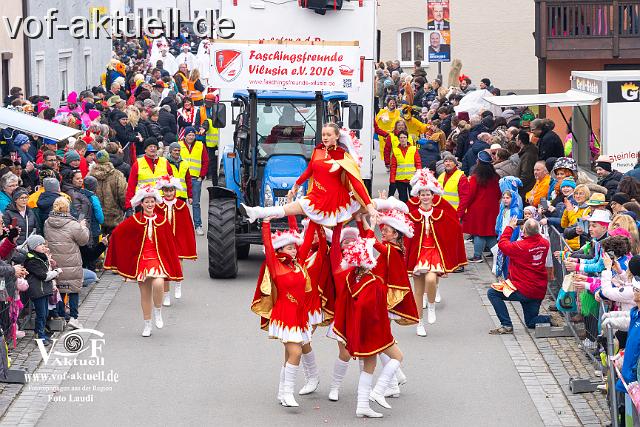 Foto Laudi_Pleintinger_Faschingszug-206050.jpg